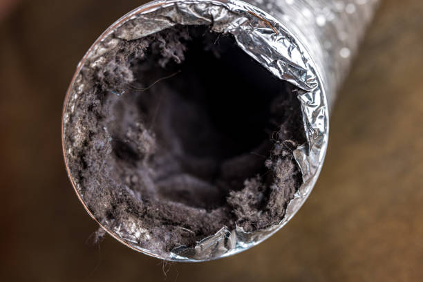 Best Ventilation Cleaning Services  in Elm Creek, TX