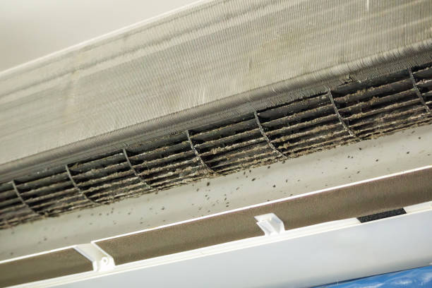 Best Residential Air Duct Cleaning  in Elm Creek, TX